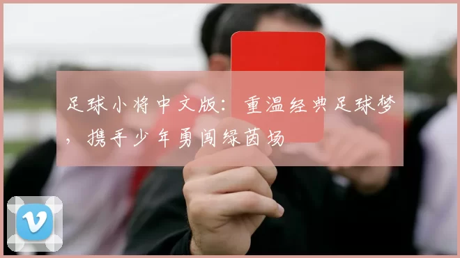 足球小将中文版：重温经典足球梦，携手少年勇闯绿茵场