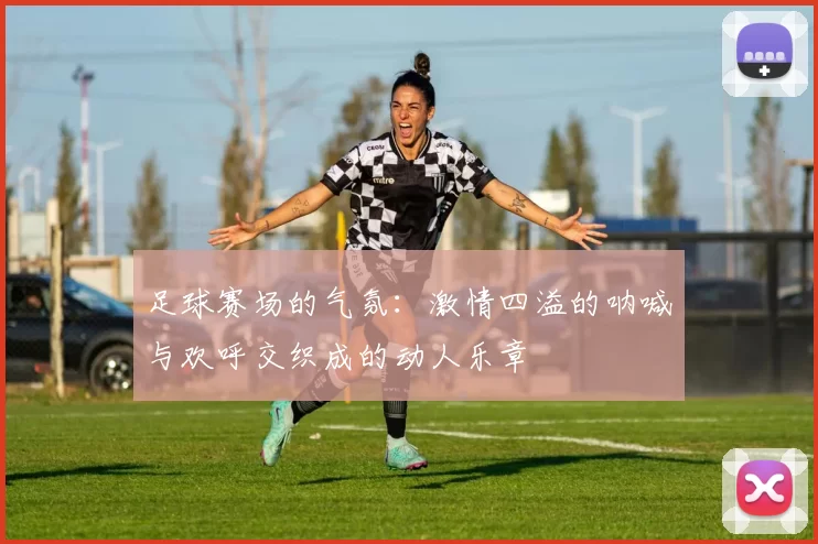 足球赛场的气氛：激情四溢的呐喊与欢呼交织成的动人乐章