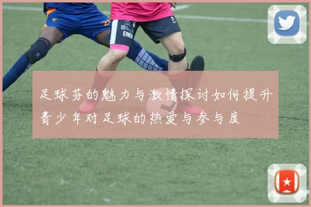 足球芬的魅力与激情探讨如何提升青少年对足球的热爱与参与度